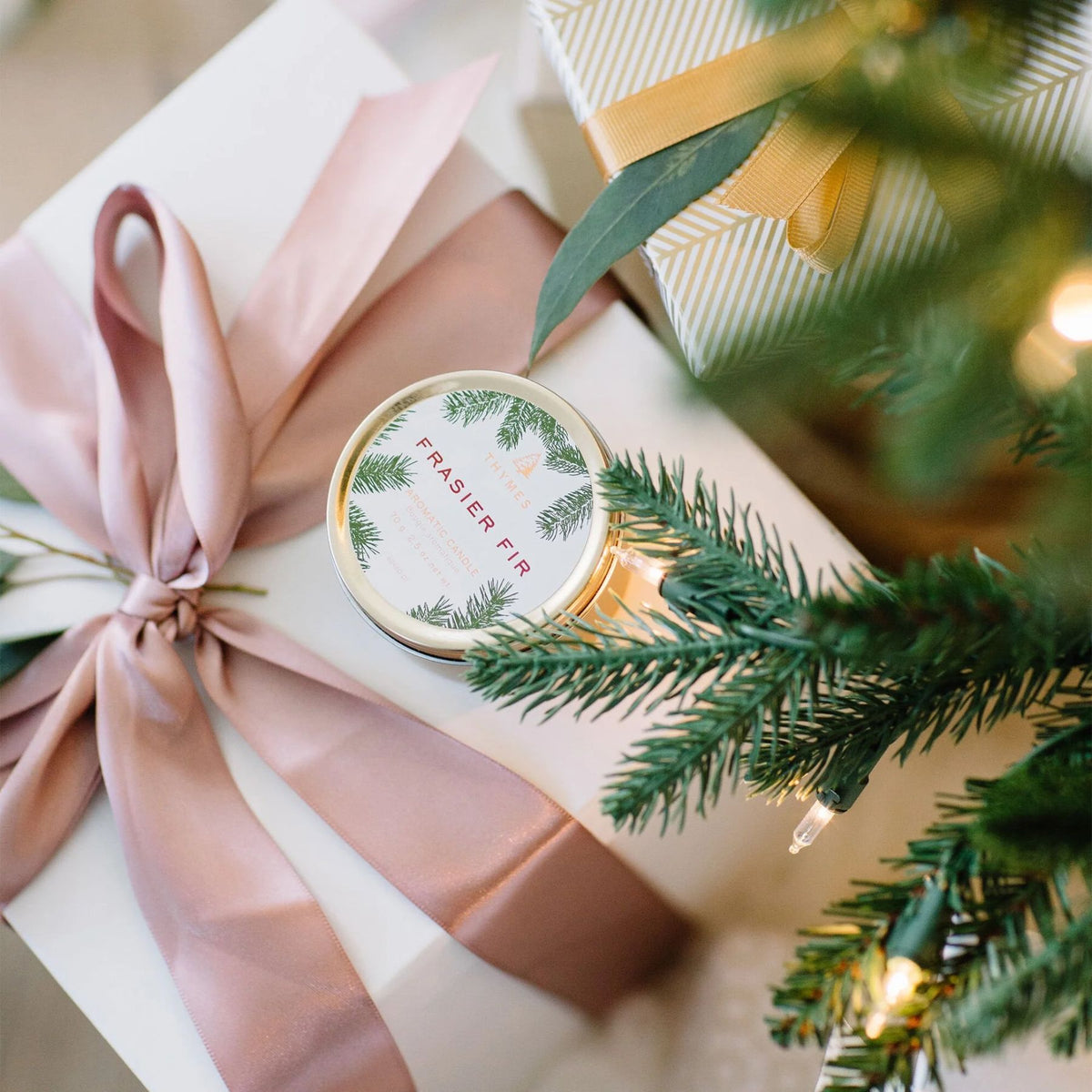 Frasier Fir Gold Candle Tin