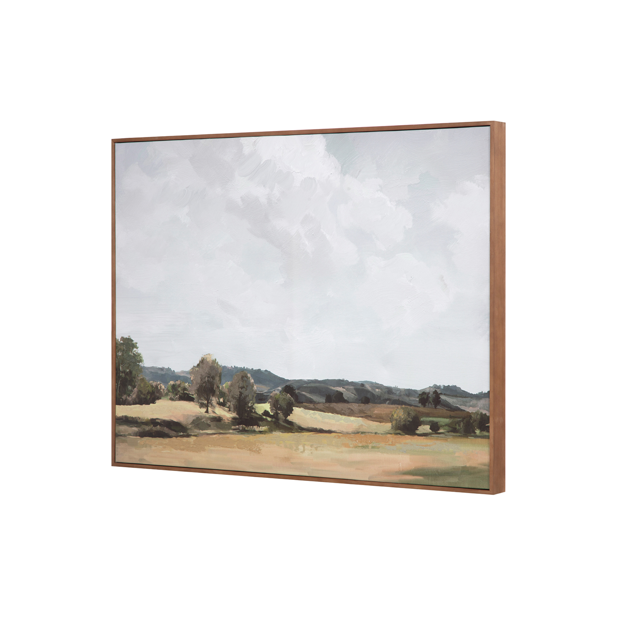 Vast Country Framed Painting