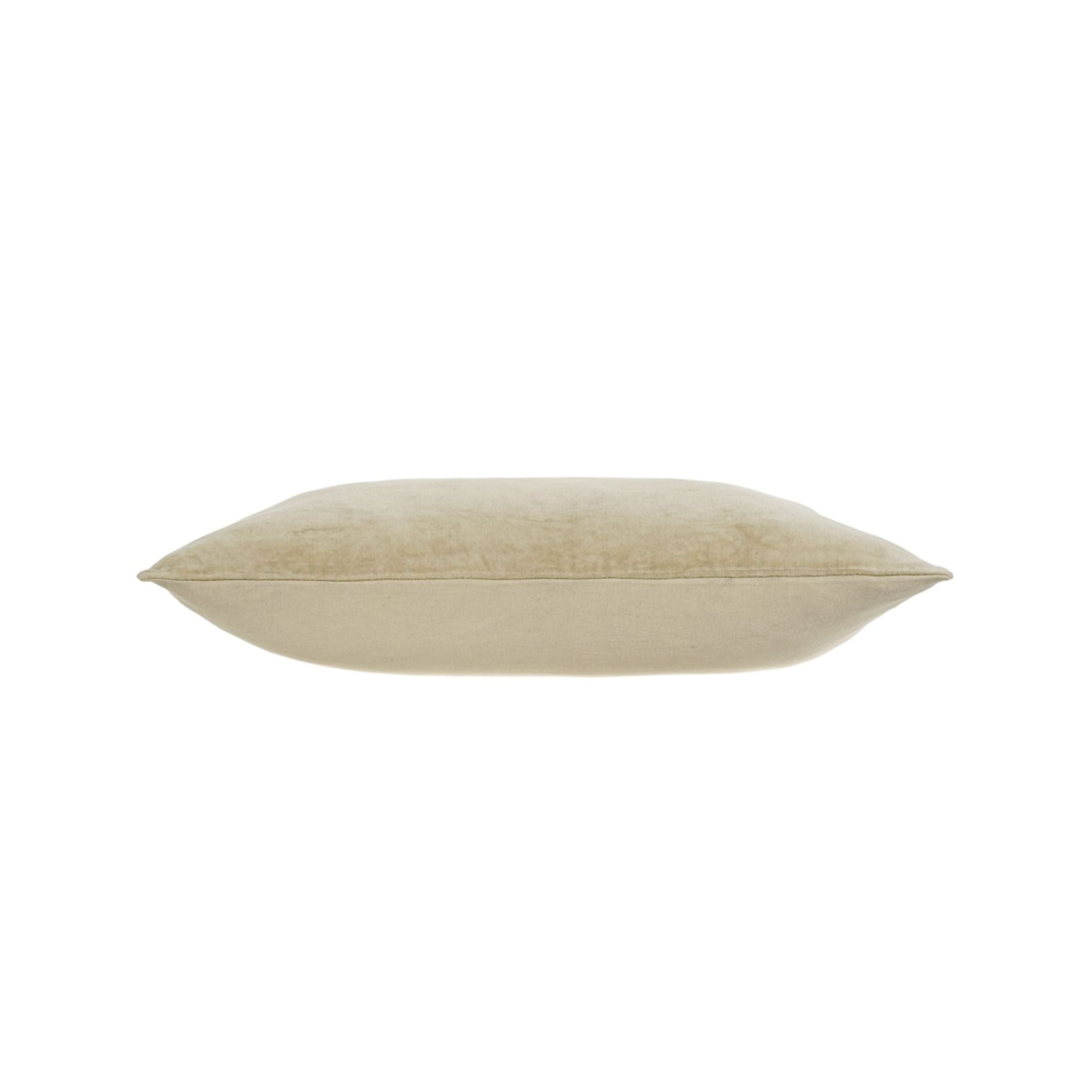 Vera Velvet Pillow | Lichen
