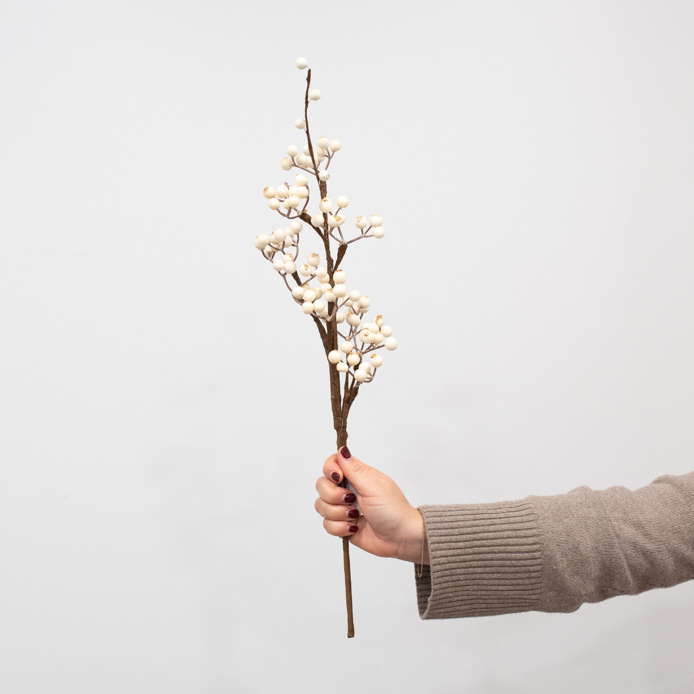 White Berry Branch