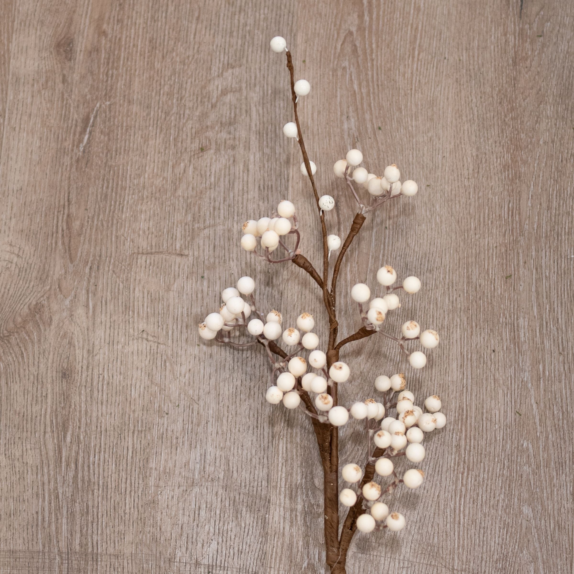 White Berry Branch