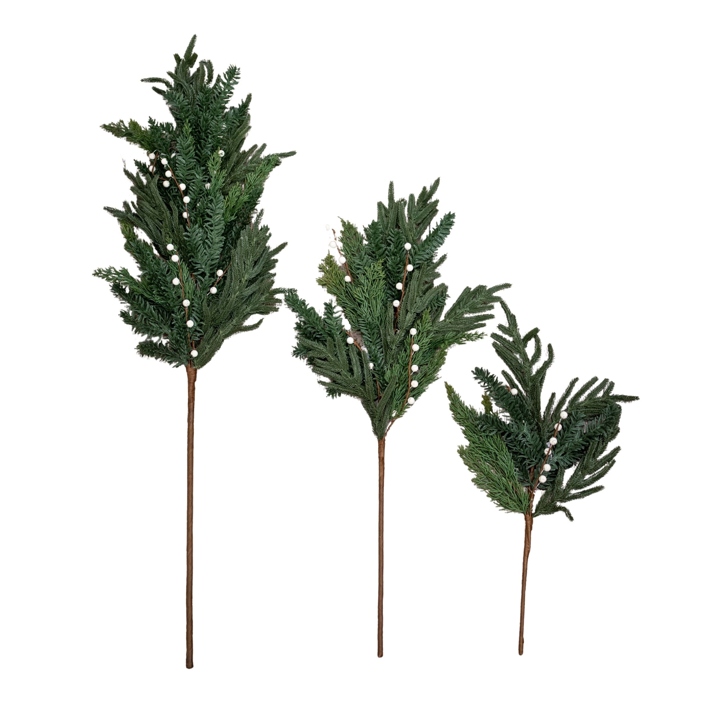 White Berry Evergreen Stem