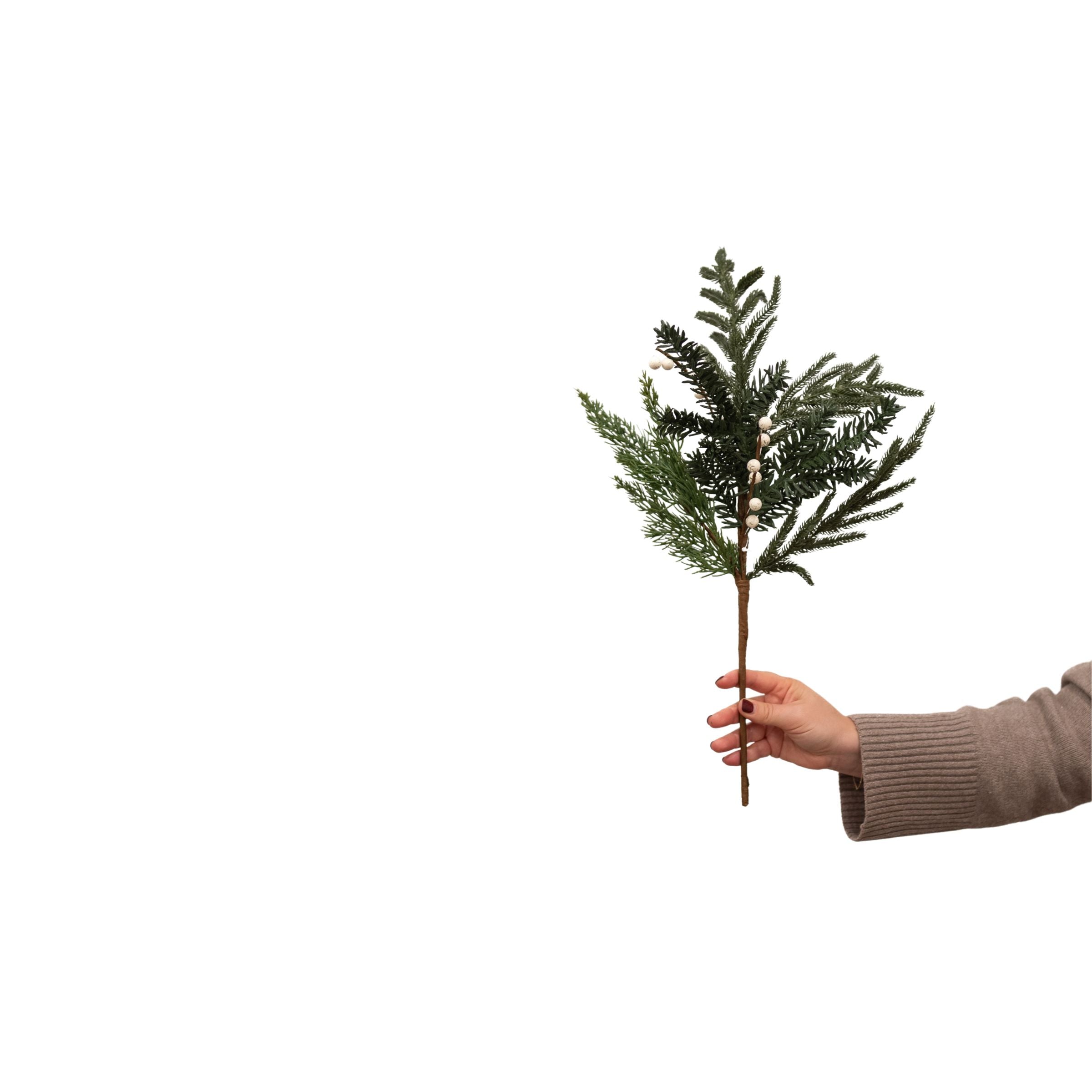 White Berry Evergreen Stem