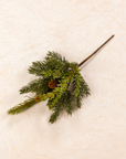 White Spruce + Tusga Hemlock Pick