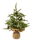 Winterwood Tabletop Tree