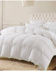 All Season Down + Feather Duvet Insert