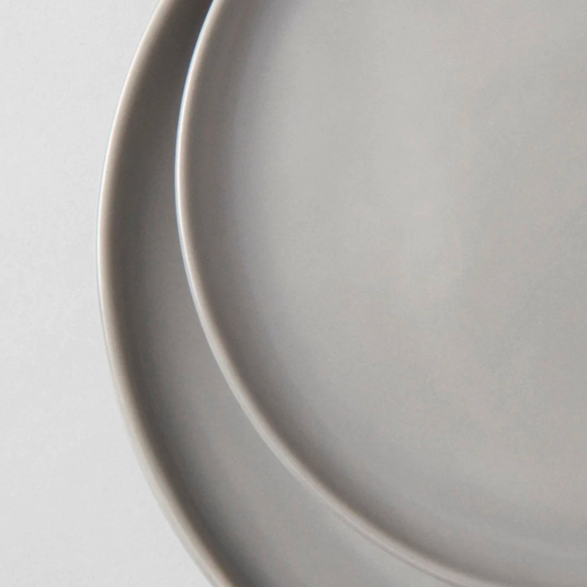 Fable Dinner Plates in Dove Gray